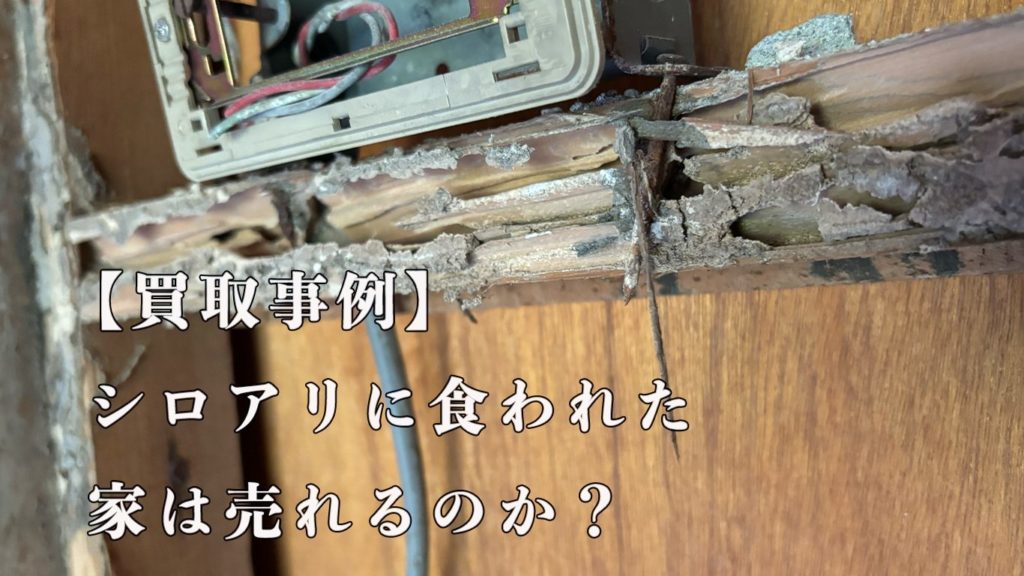 【買取事例】シロアリに食われた家は売れるのか？